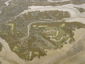 水中總固體測(cè)定方法